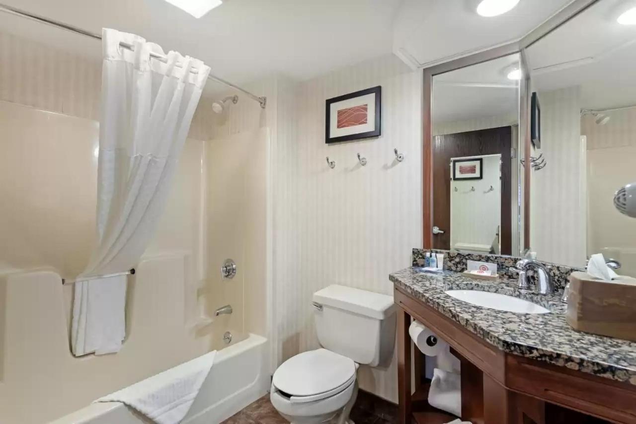 King Suite with Sofa Bed - Non Smoking